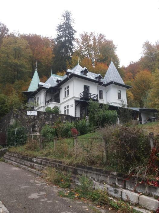 Il Piccolo Castello Buşteni エクステリア 写真