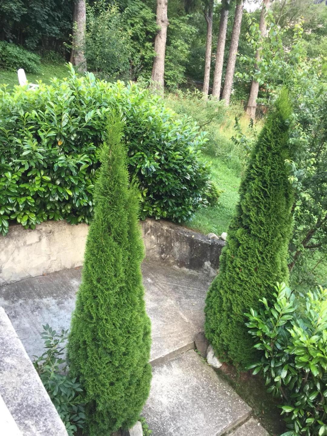 Il Piccolo Castello Buşteni エクステリア 写真
