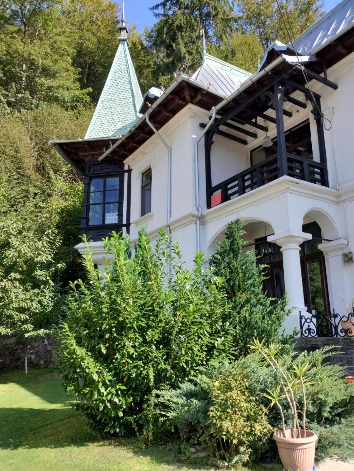 Il Piccolo Castello Buşteni エクステリア 写真