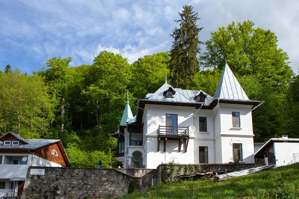 Il Piccolo Castello Buşteni エクステリア 写真