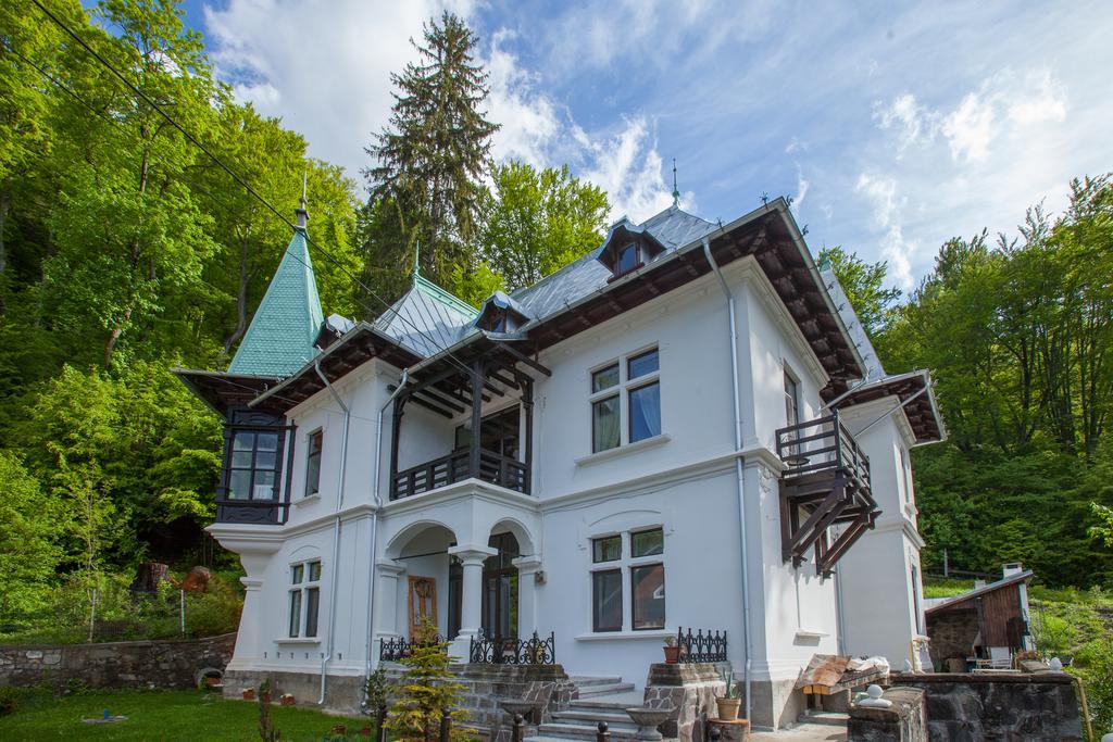 Il Piccolo Castello Buşteni エクステリア 写真